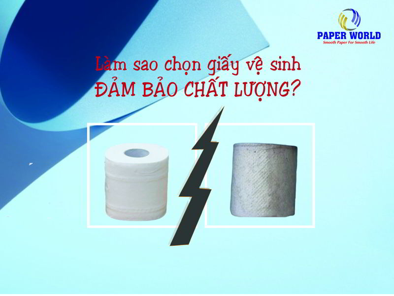 Cách lựa chọn giấy vệ sinh đảm bảo chất lượng